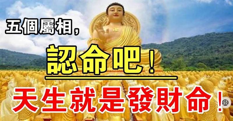 五個屬相認命吧，天生就是發財命